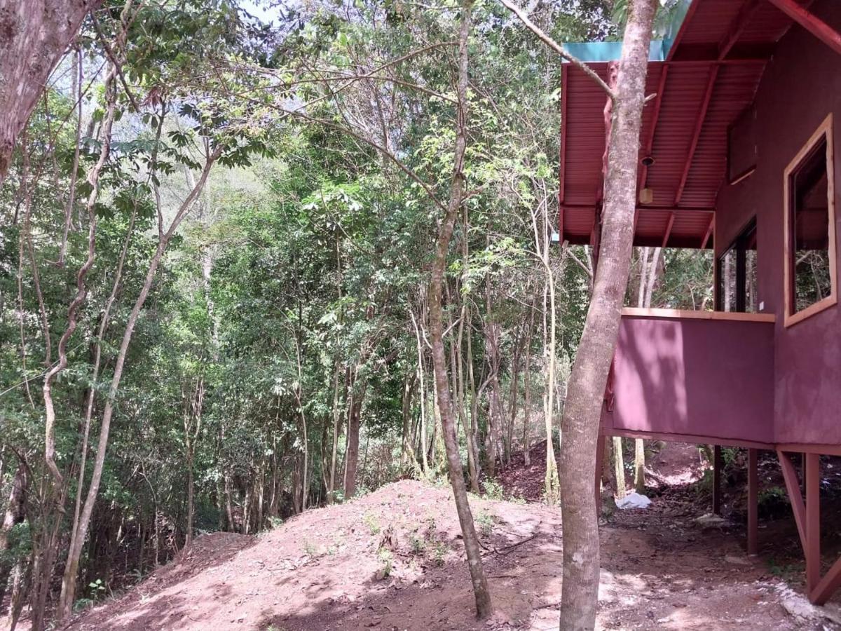 Curuba Lodge Copey Exterior foto