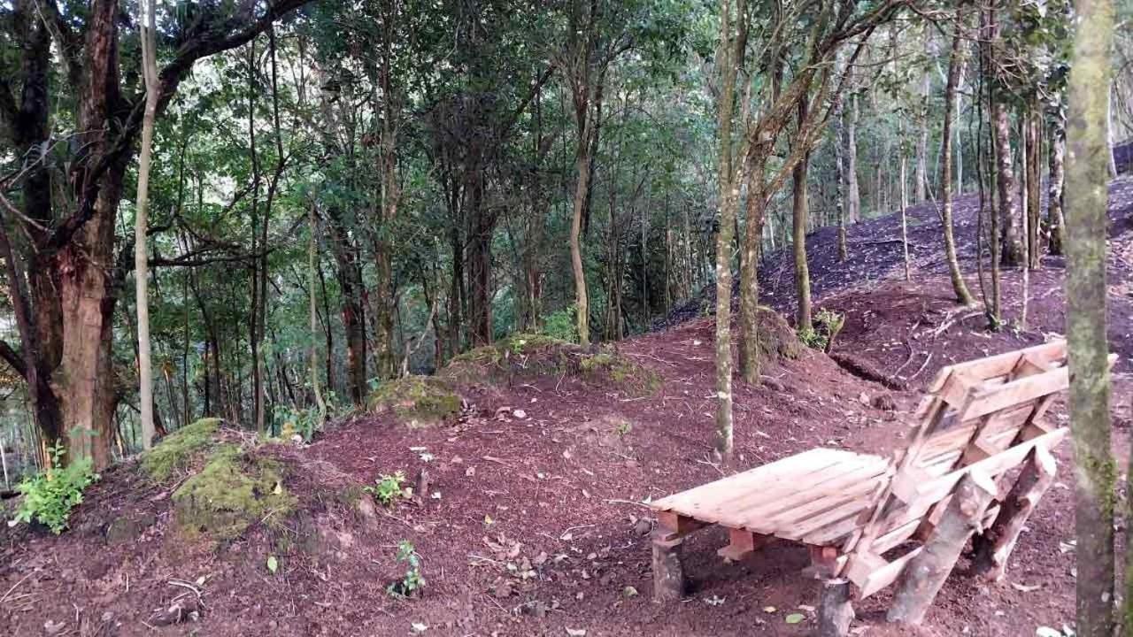 Curuba Lodge Copey Exterior foto
