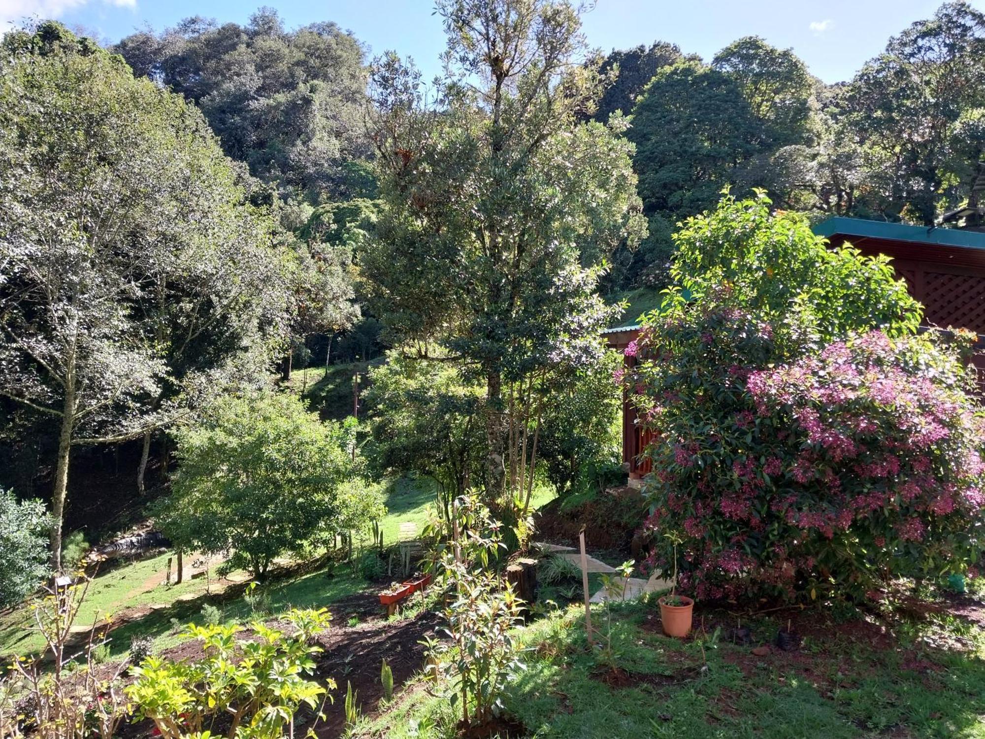 Curuba Lodge Copey Exterior foto