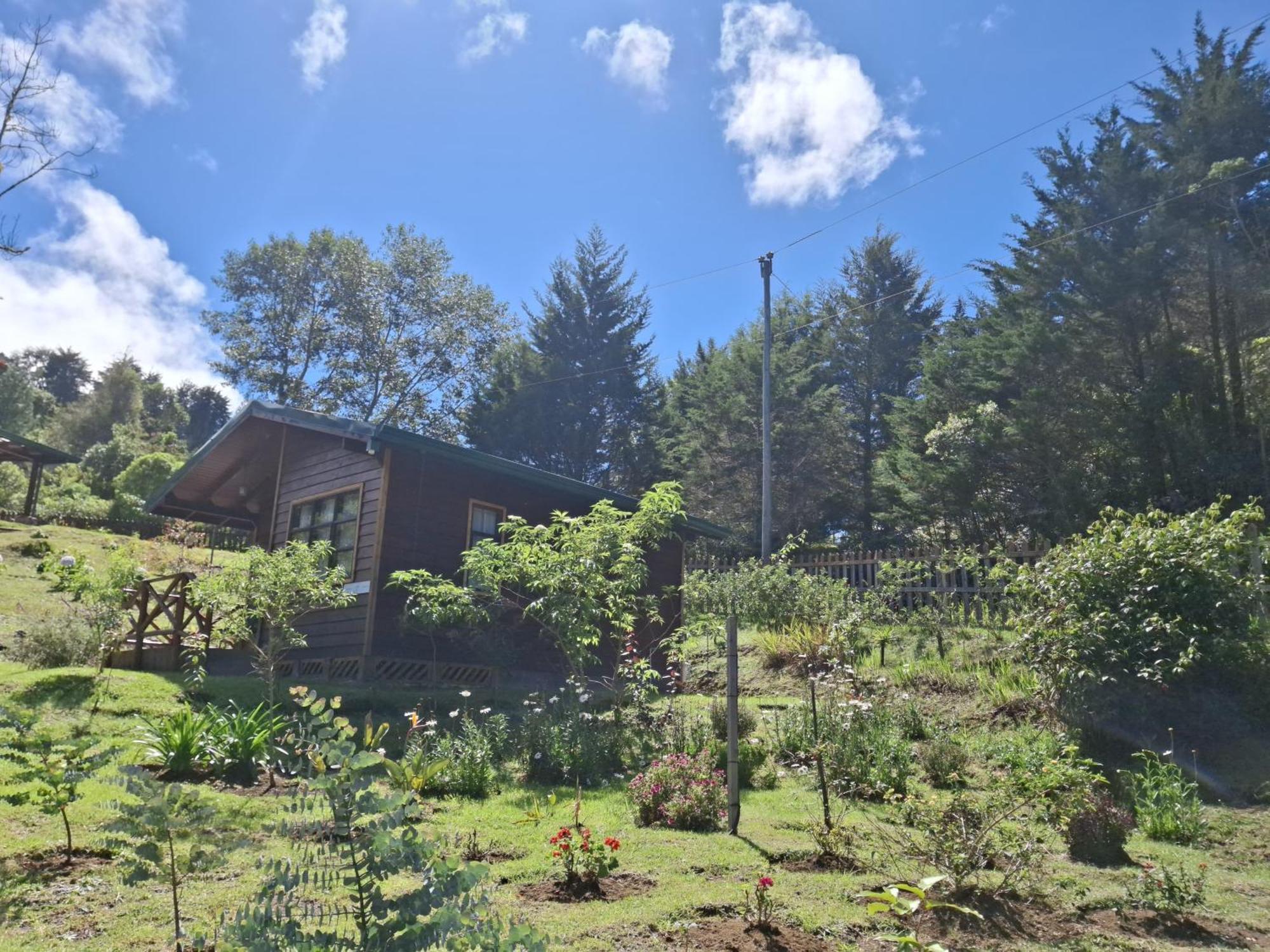 Curuba Lodge Copey Exterior foto