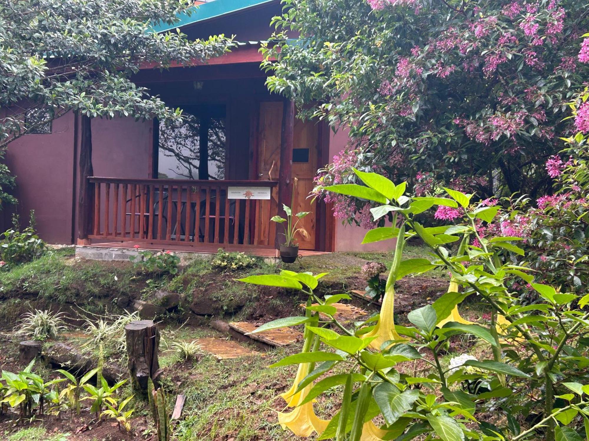 Curuba Lodge Copey Exterior foto